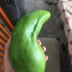 bananalover115 avatar