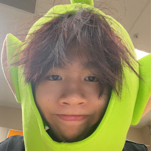 banhbaoval avatar