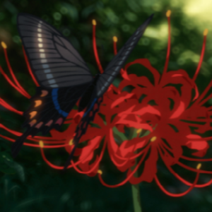 higanbana_off avatar