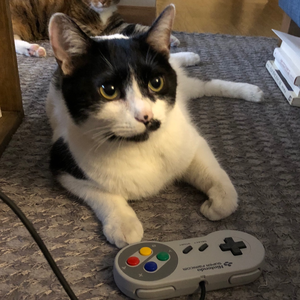 wolf_schroeder avatar