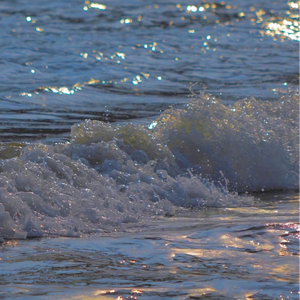 vivid_owcoach avatar