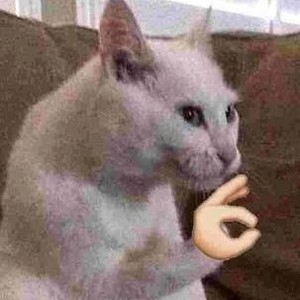 thesaltyspitoon avatar