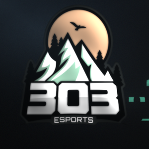 303esports avatar