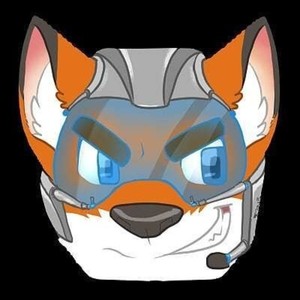 cajunfox avatar