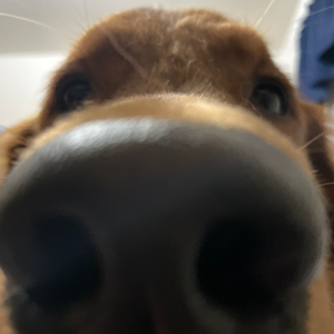 greatlakesjake avatar