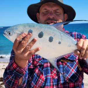 australisfishing avatar