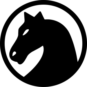 chessnetwork avatar