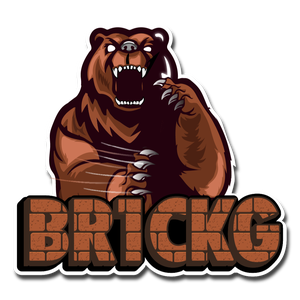 br1ckg avatar