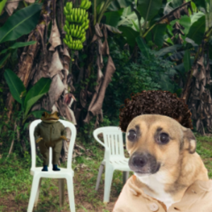 nolalo avatar