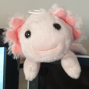 xaelyaneedles avatar