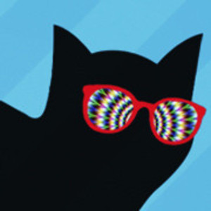 funkyblackcat avatar