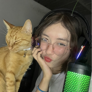 paudipai avatar