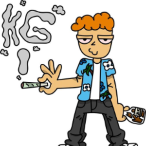 krisspg avatar