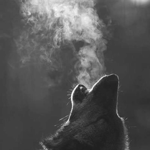 chasingthesun7 avatar