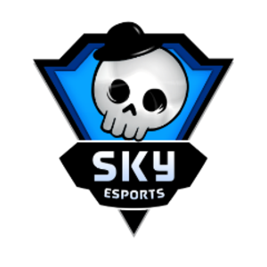 skyesportsofficial avatar