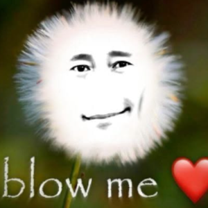 ellyknalltrein avatar