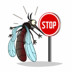 termitesrgood avatar