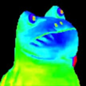 martincitopants avatar