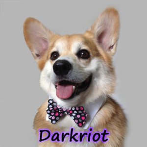 darkriot avatar