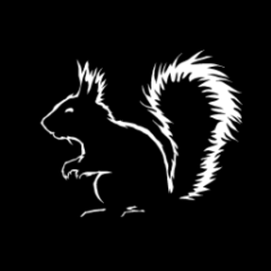 squirrelturds avatar