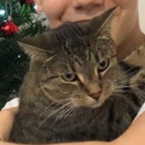 corporalleague avatar