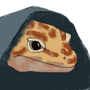 theshmackattack avatar