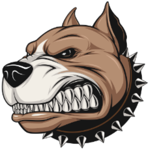 kazimirtv avatar