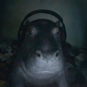 hippopotut avatar