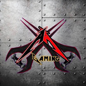 Aquired_Assassin