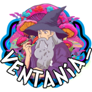 ventania__ avatar