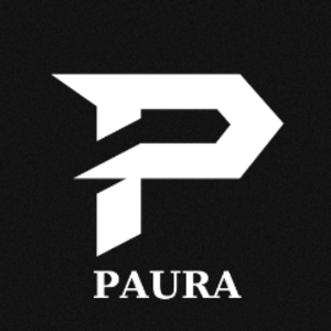 pauravl avatar