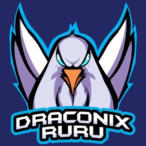 draconixruru avatar