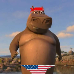 grubinhogaucho avatar