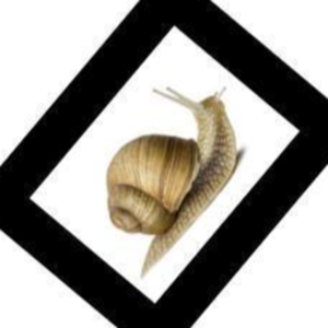 acebombastiko7 avatar