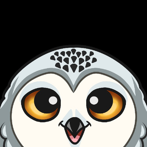 snowl_ow avatar