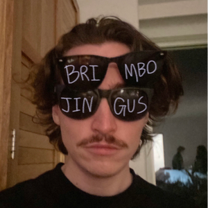 brimbojingus avatar