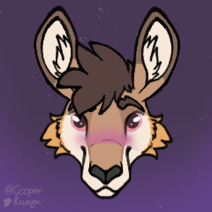 cooperkanga avatar