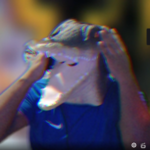 rocrodilo avatar