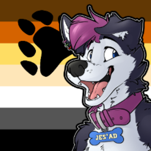 thedogsbreakky avatar