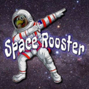 cmdrspacerooster avatar