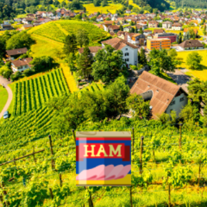 kolanutwaffles avatar