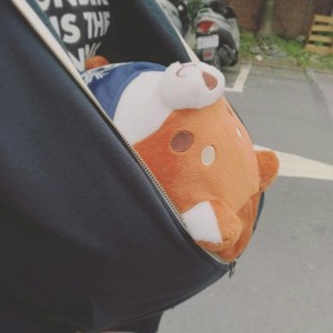kiyomiop avatar