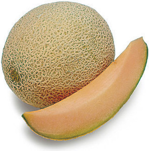 howtocantaloupe avatar