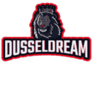 duesseldream avatar