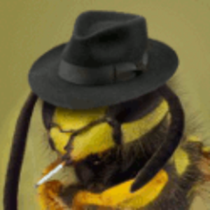 thecageybee avatar