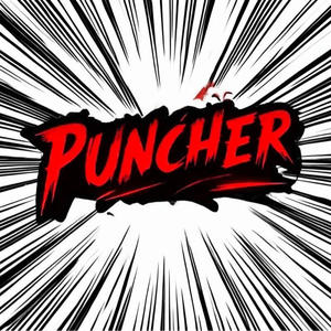 punchertw avatar