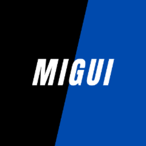 migui_ttv avatar