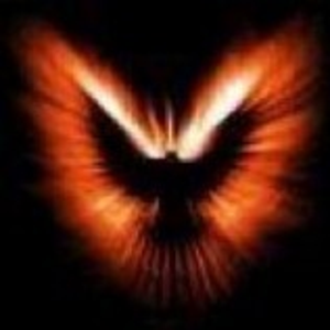 dich1337s avatar
