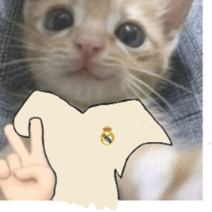 krytoipacyk2007 avatar