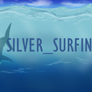silver_surfin avatar